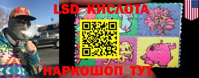 гидропоника Камышлов