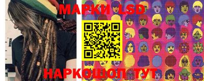 гидропоника Камышлов