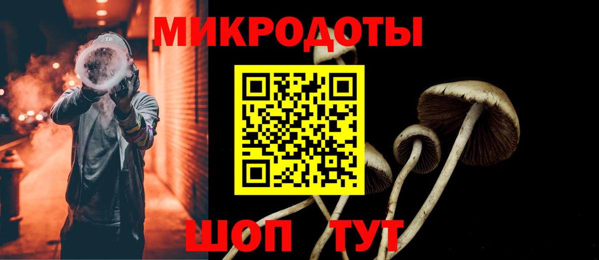 Галлюциногенные грибы GOLDEN TEACHER  Вход с VPN  Красноармейск 